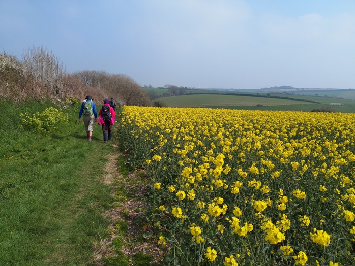 Leisurely Rame March 2019 SN
